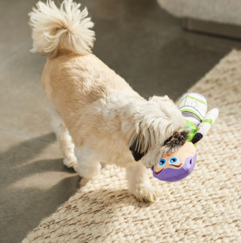 Pixar Buzz Lightyear Bottle Plush Squeaky Dog Toy
