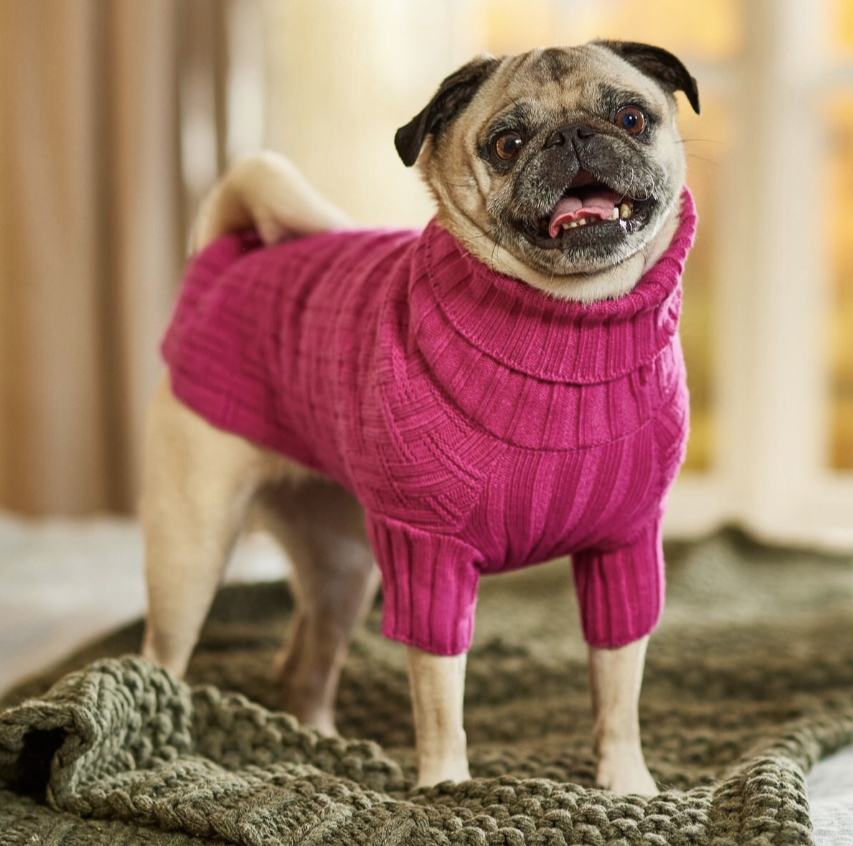 Dog & Cat Turtleneck Sweater, Pink