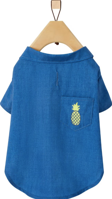 Chambray Pineapple Dog, XXL