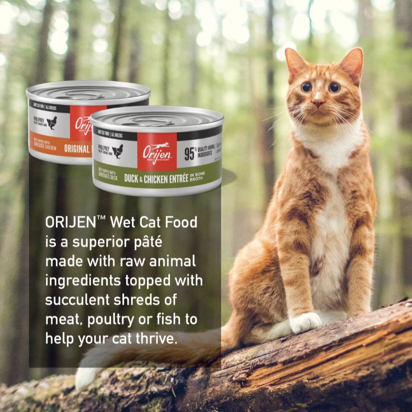 ORIJEN Premium Original Variety Pack Duck & Chicken Pate Wet Cat Food Recipes, 3-oz can, case of 12