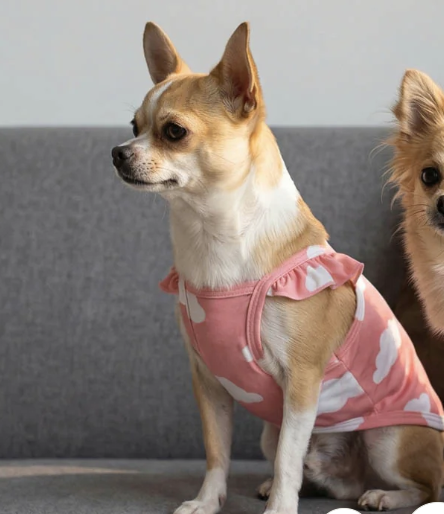 Cloud Ruffle Dog Shirt