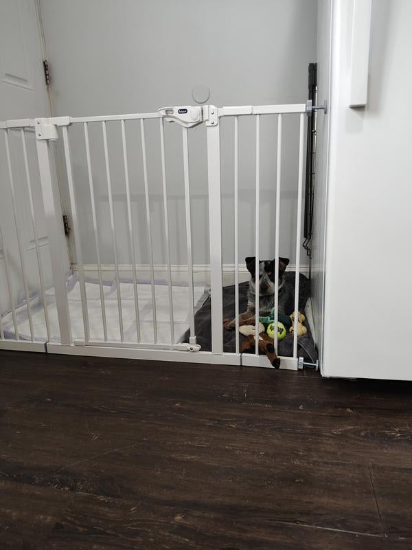 Steel Extra Wide Auto-Close Dog Gate, White, 30-in (puerta metal con ajuste)