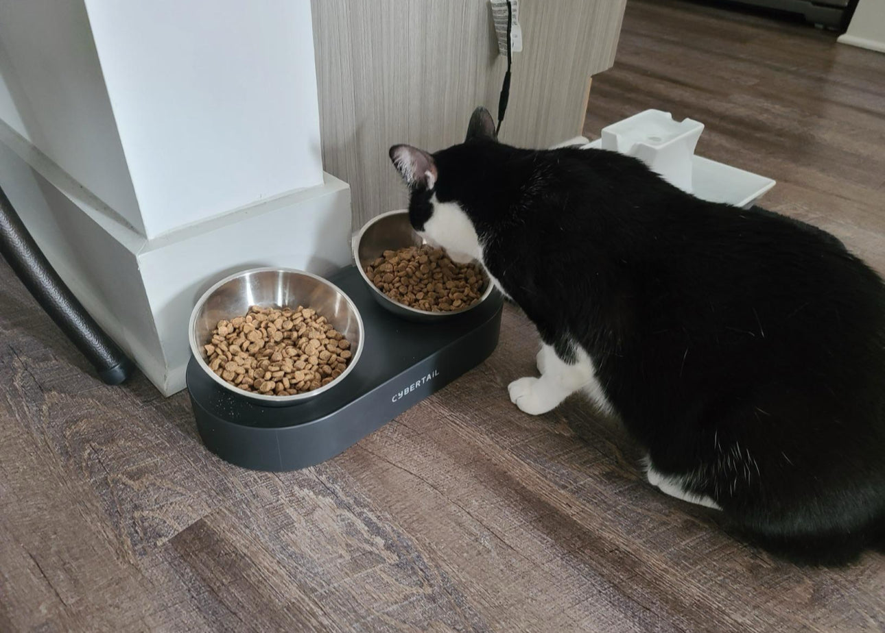 Platos elevados para mascotas con 2 cuencos de acero inoxidable (para raza pequeña)