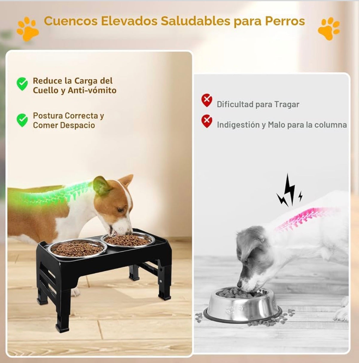 Comedero elevado para perros pequeños, 6 pulgadas plato