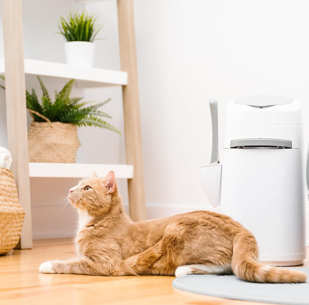 Litter Genie Style Pail | Sistema de eliminación de desechos de arena para gatos para control de olores