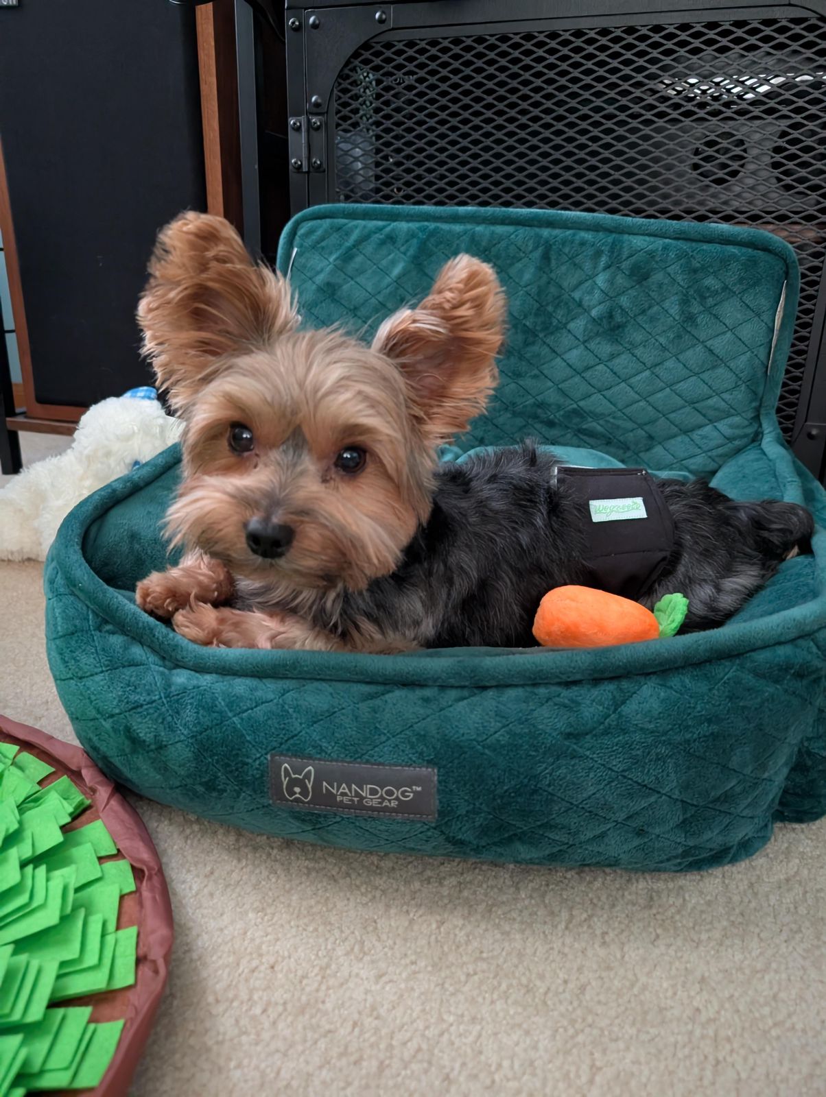 NANDOG- Asiento para carro tamaño pequeño