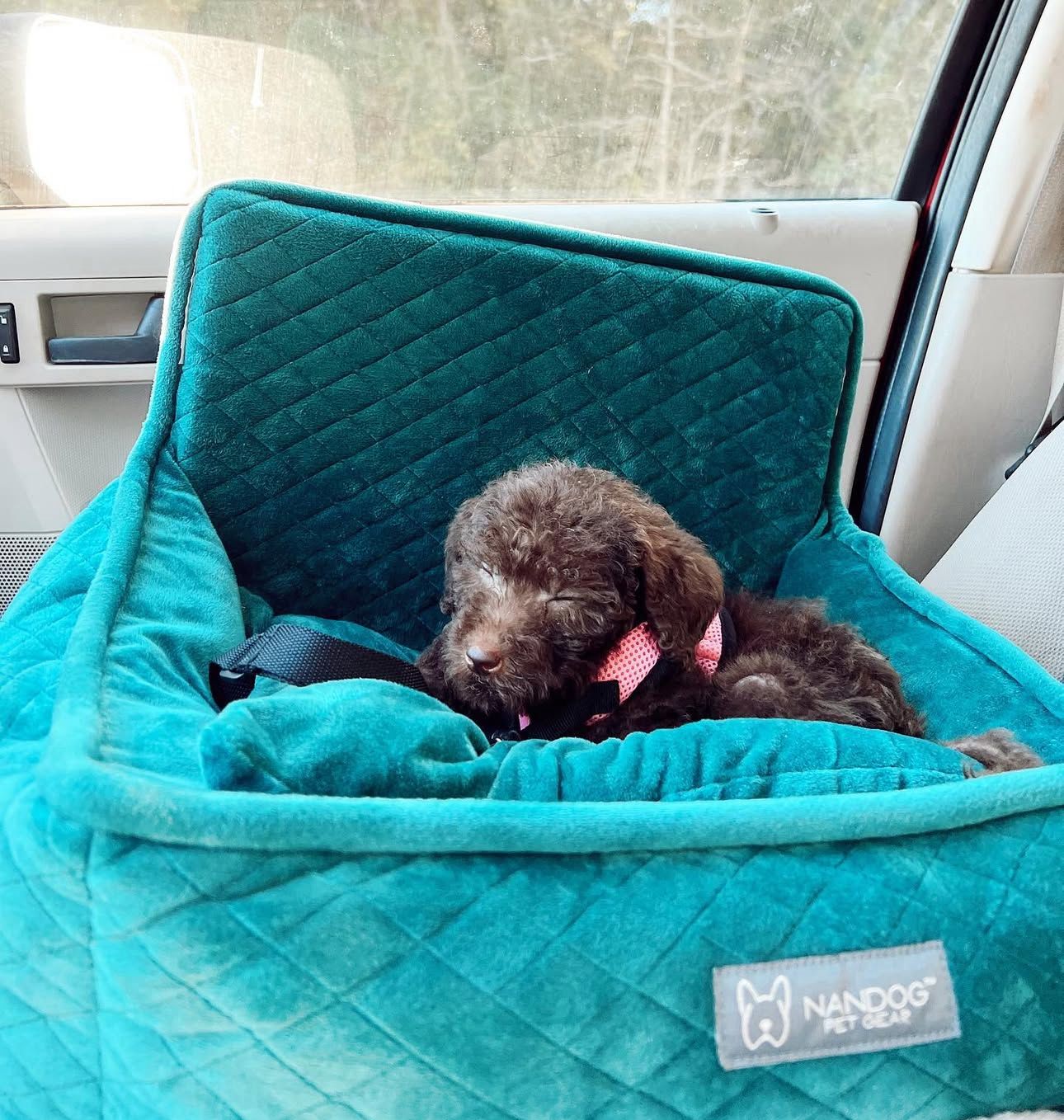 NANDOG- Asiento para carro tamaño pequeño
