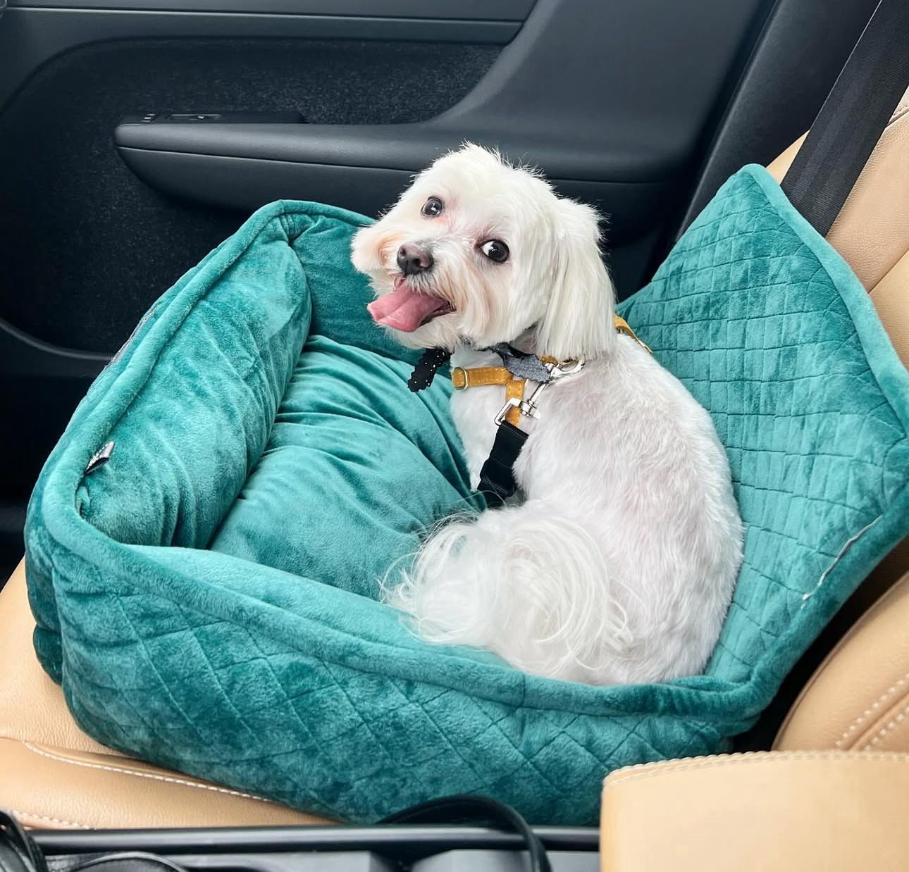 NANDOG- Asiento para carro tamaño pequeño