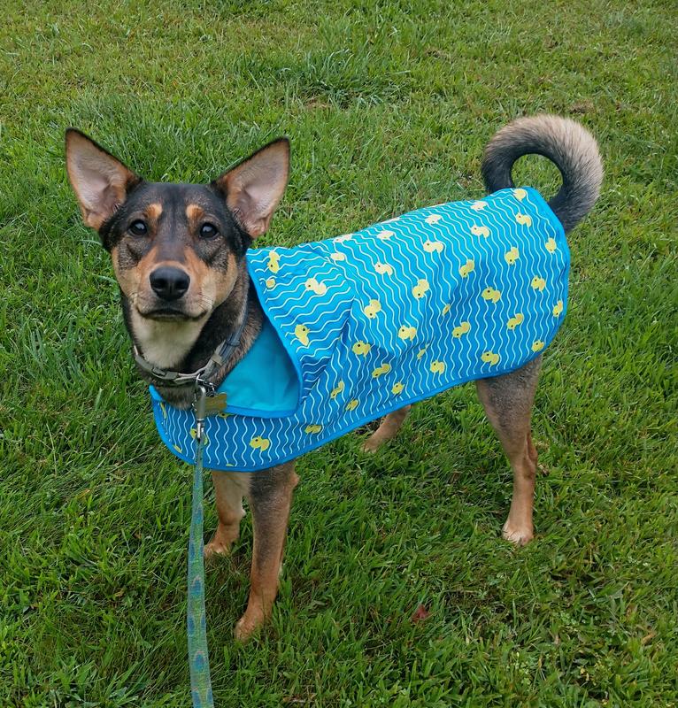 Lightweight Raincoat para perros