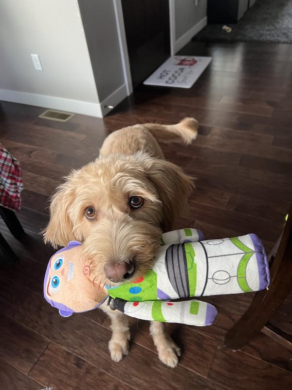Pixar Buzz Lightyear Bottle Plush Squeaky Dog Toy