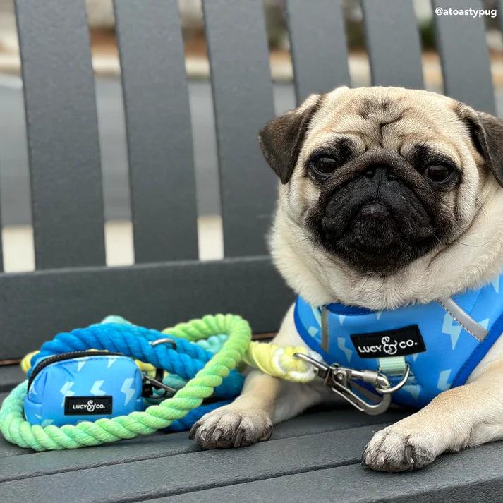 Lucy and co- Hands-Free Rope Leash
