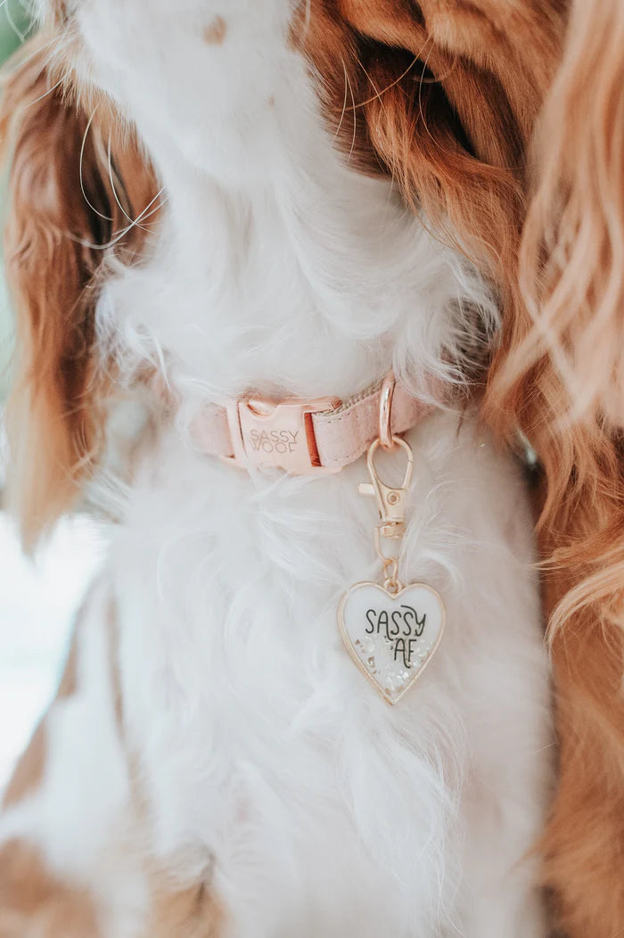 Sassy woof collar - Pinot