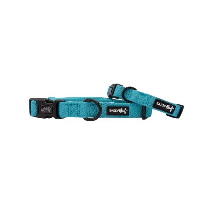 Sassy Woof collar - Neon Blue