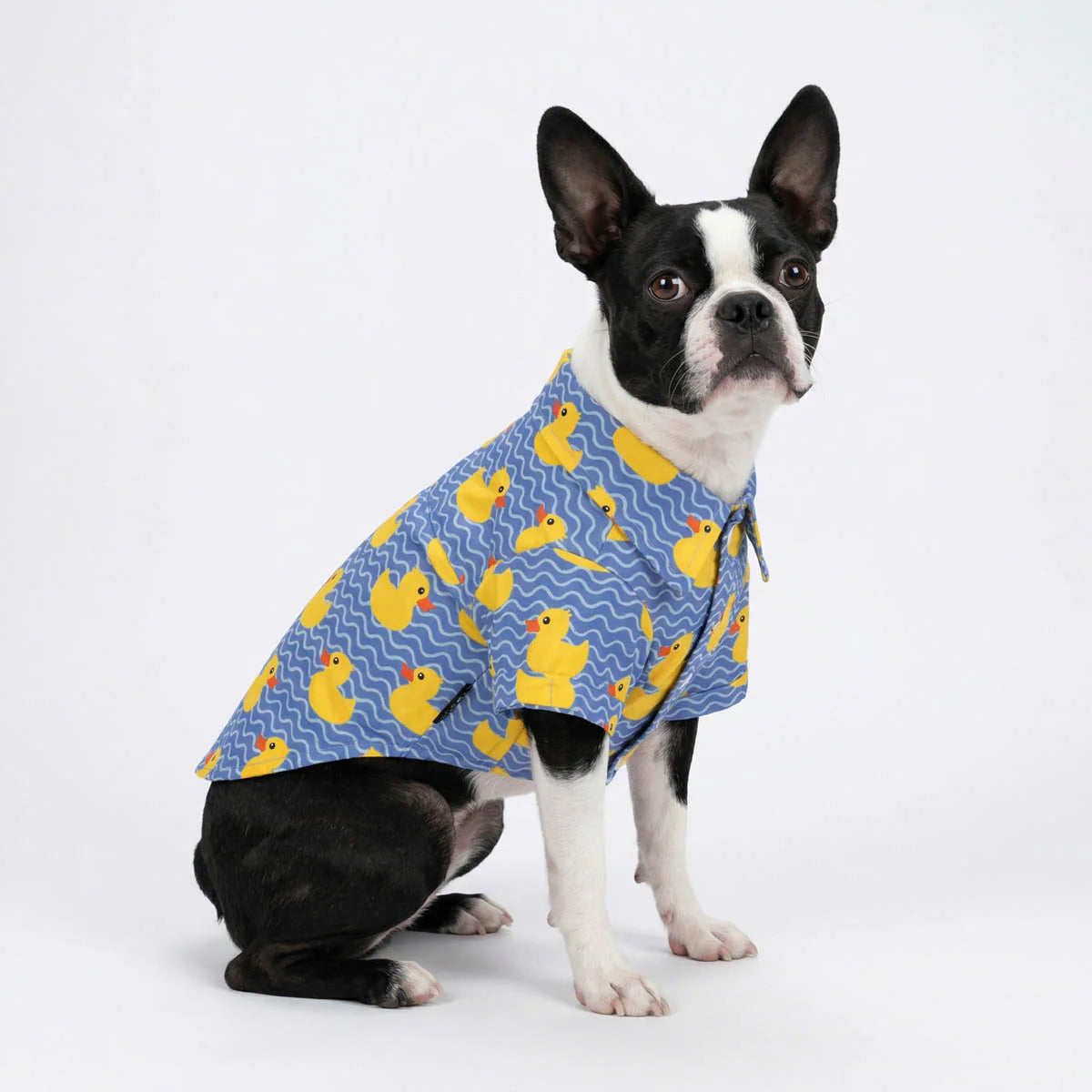 Duck Button Up Dog Shirt