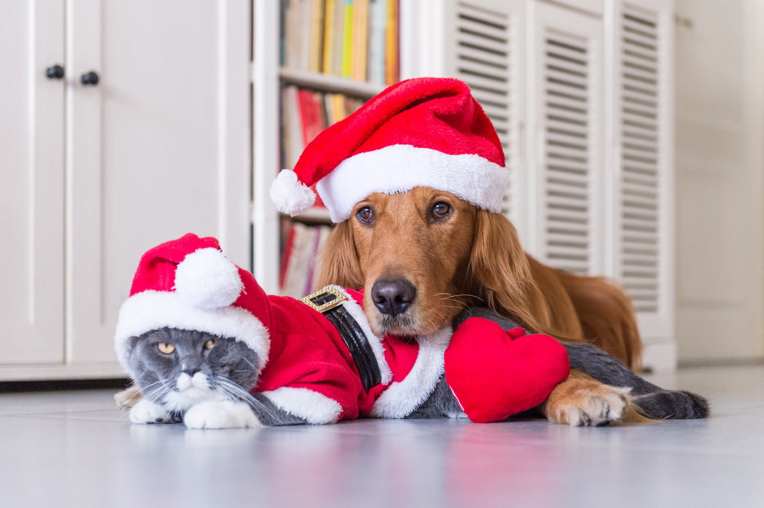 Colección navideña