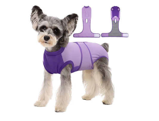 Traje de recuperación para perros después de la cirugía