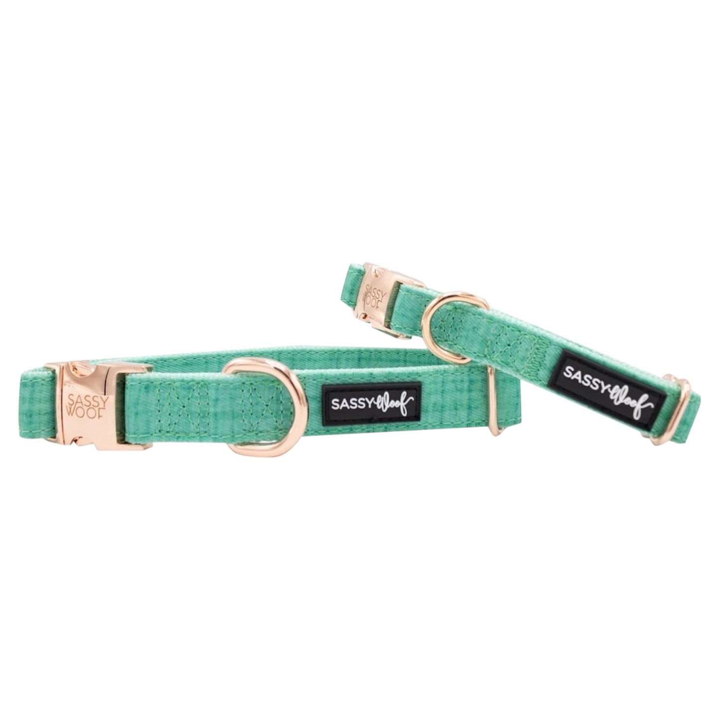 Sassy Woof Dog Collar, Wag Your Teal