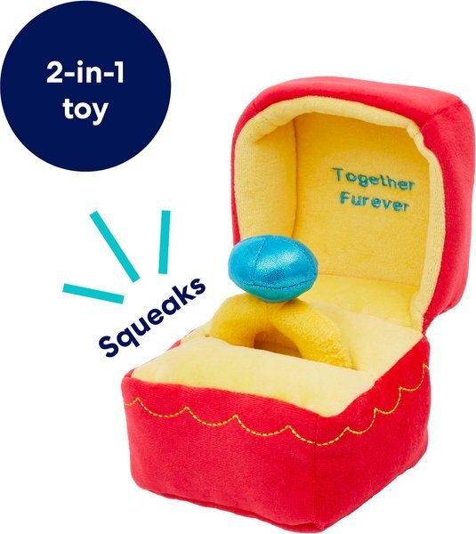 Valentine Ring 2-in-1 Plush Squeaky Dog Toy