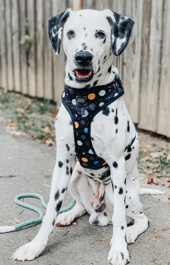 Sassy Woof- pechera y correa TO THE STARS AND BEYOND
