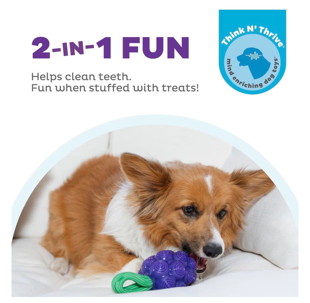 Outward Hound Dental Grapes 2-in-1 Interactive Dog Chew & Treat Dispensing Toy, Medium
