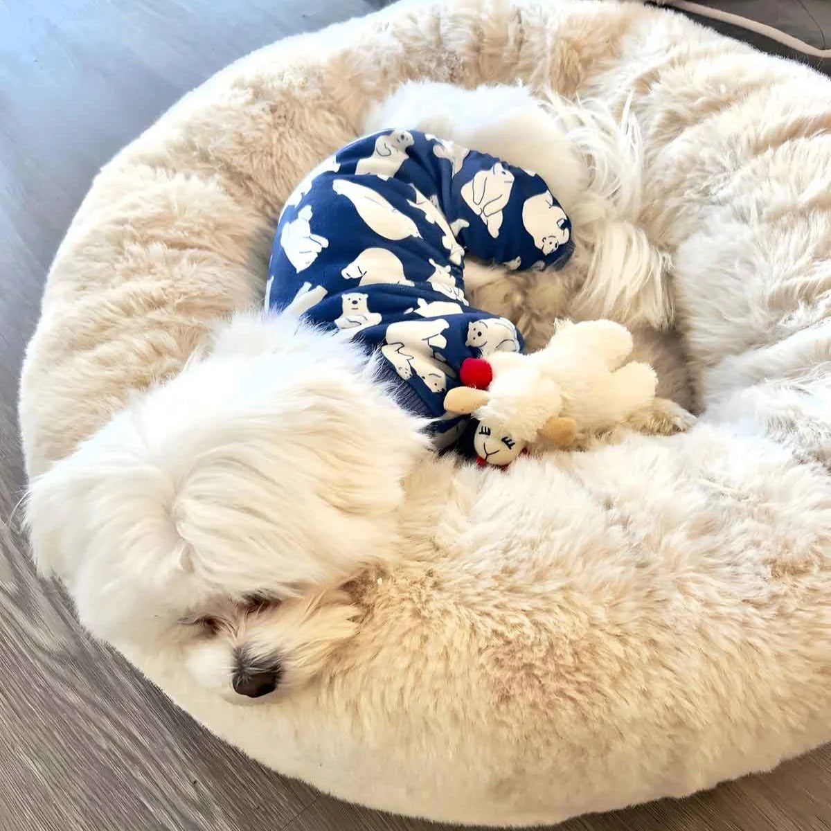 Oso Polar Pijamas
