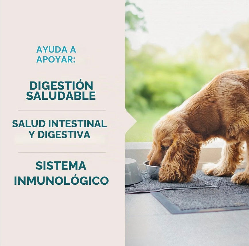 VetIQ Suplemento probiótico para perros 60 unidades