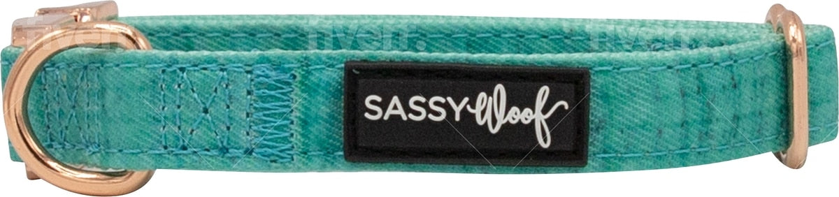 Sassy Woof Dog Collar, Wag Your Teal