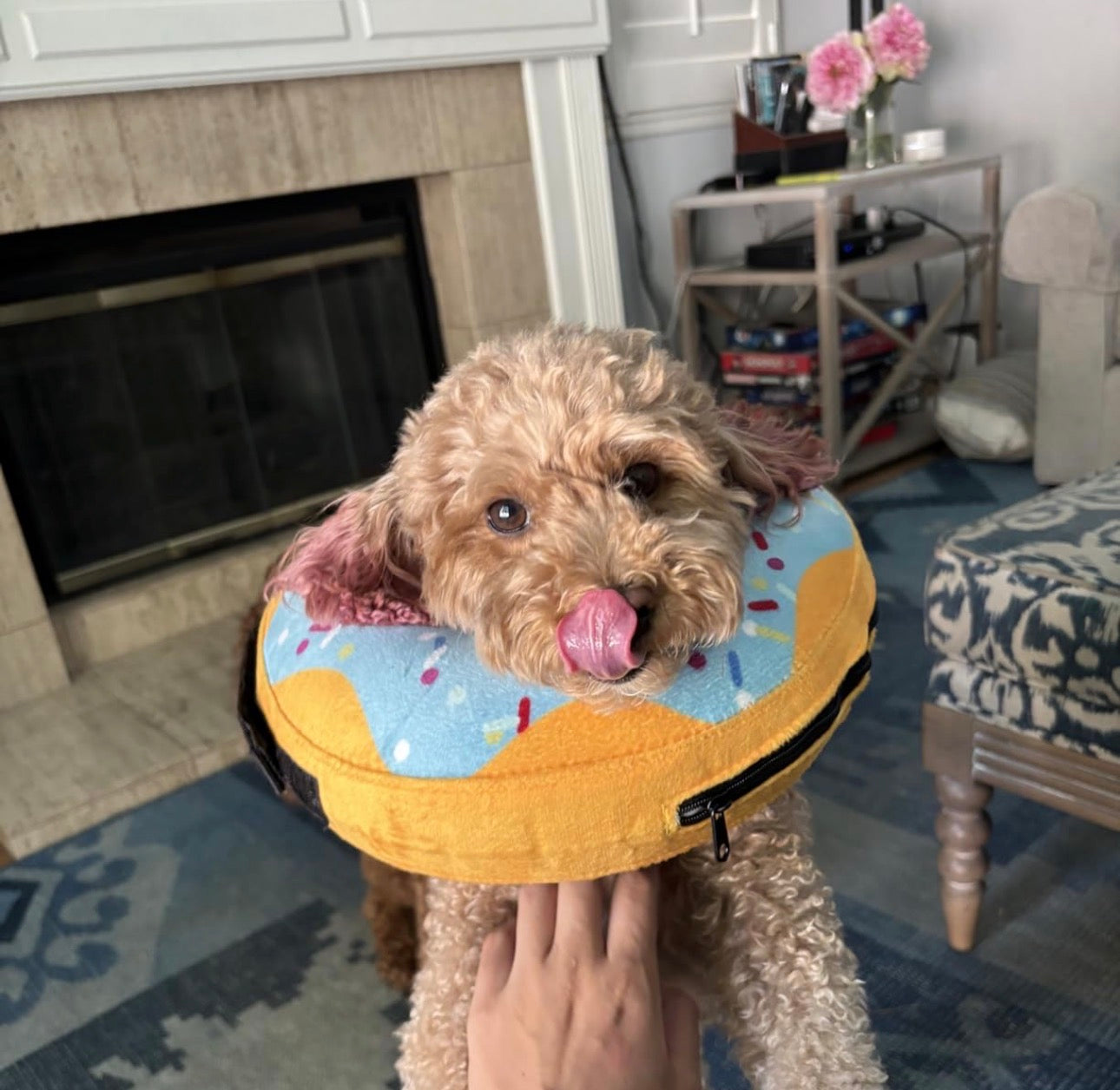 Collar de dona de recuperación para perros y gatos