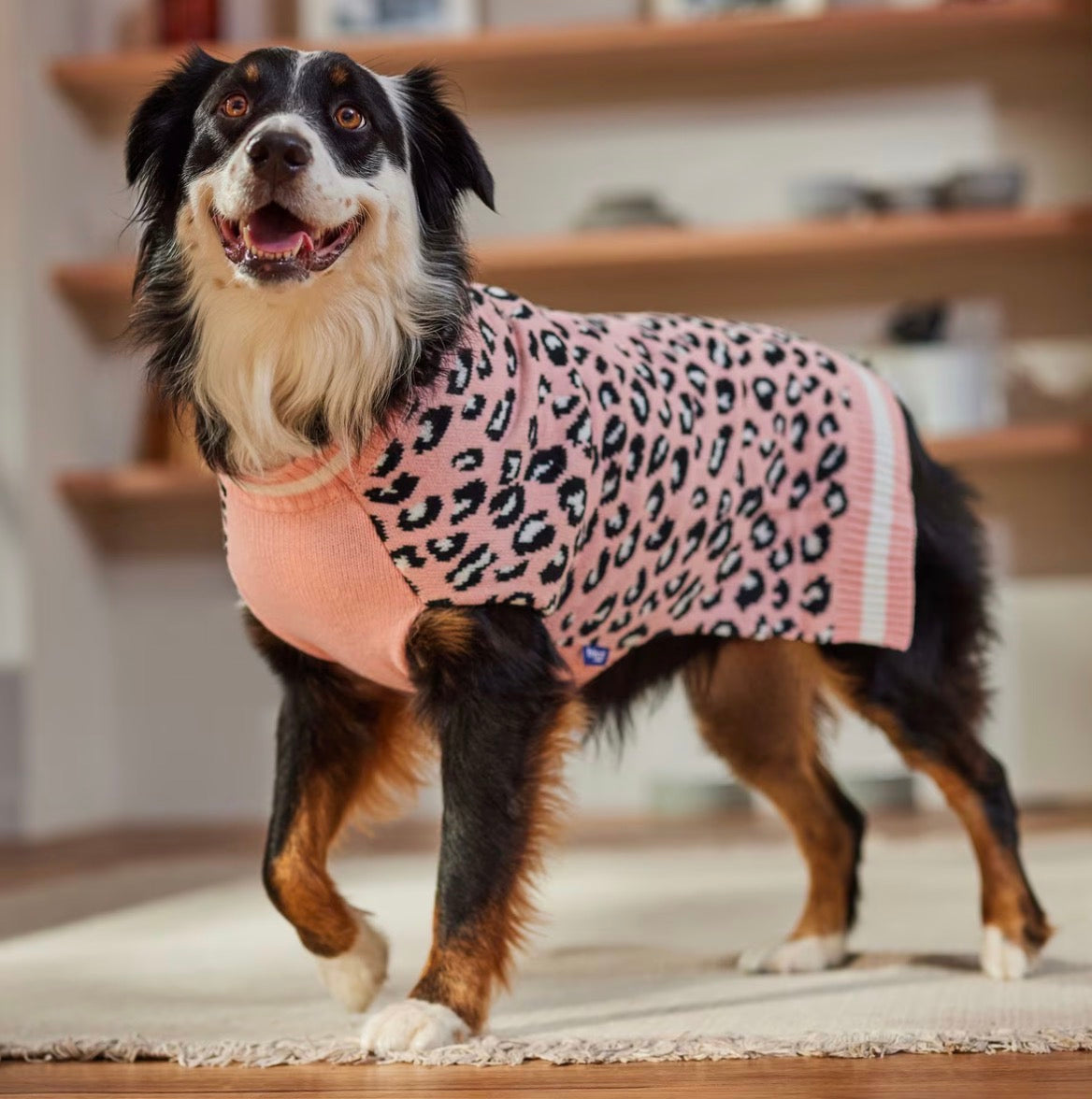 Leopard Print Dog sweater