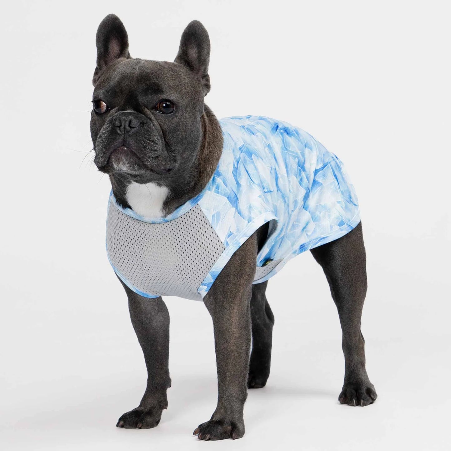 Ice Sun Protection Dog Shirt