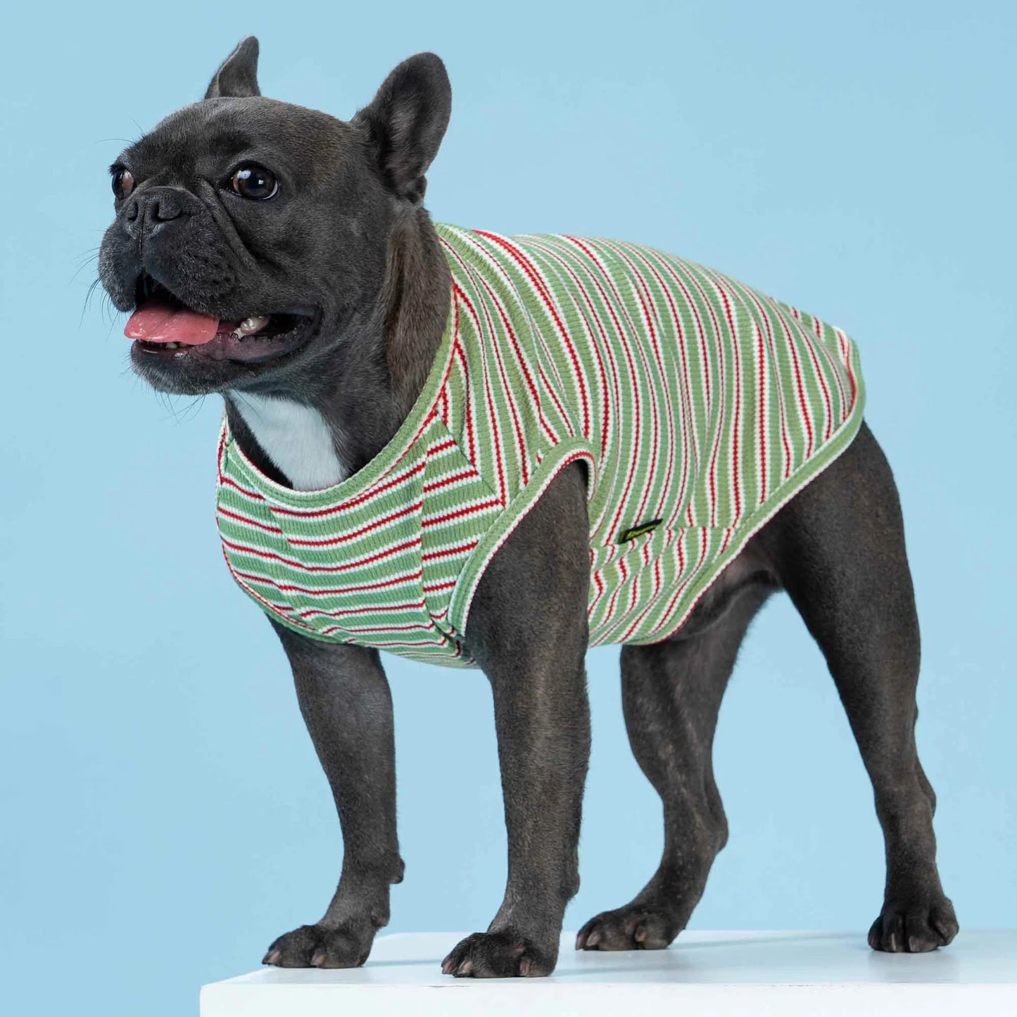 Waffle Striped Dog Shirt verde