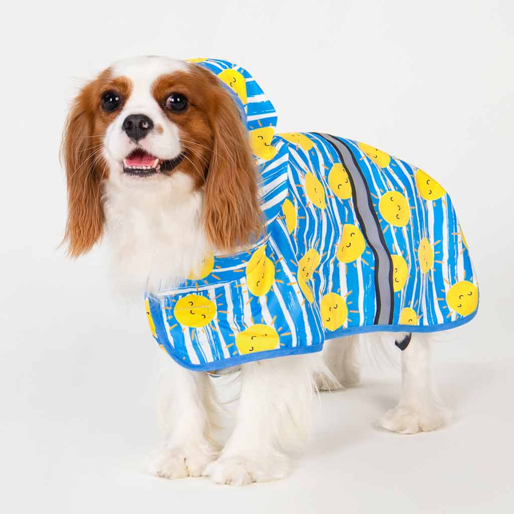 Sun Dog Raincoat