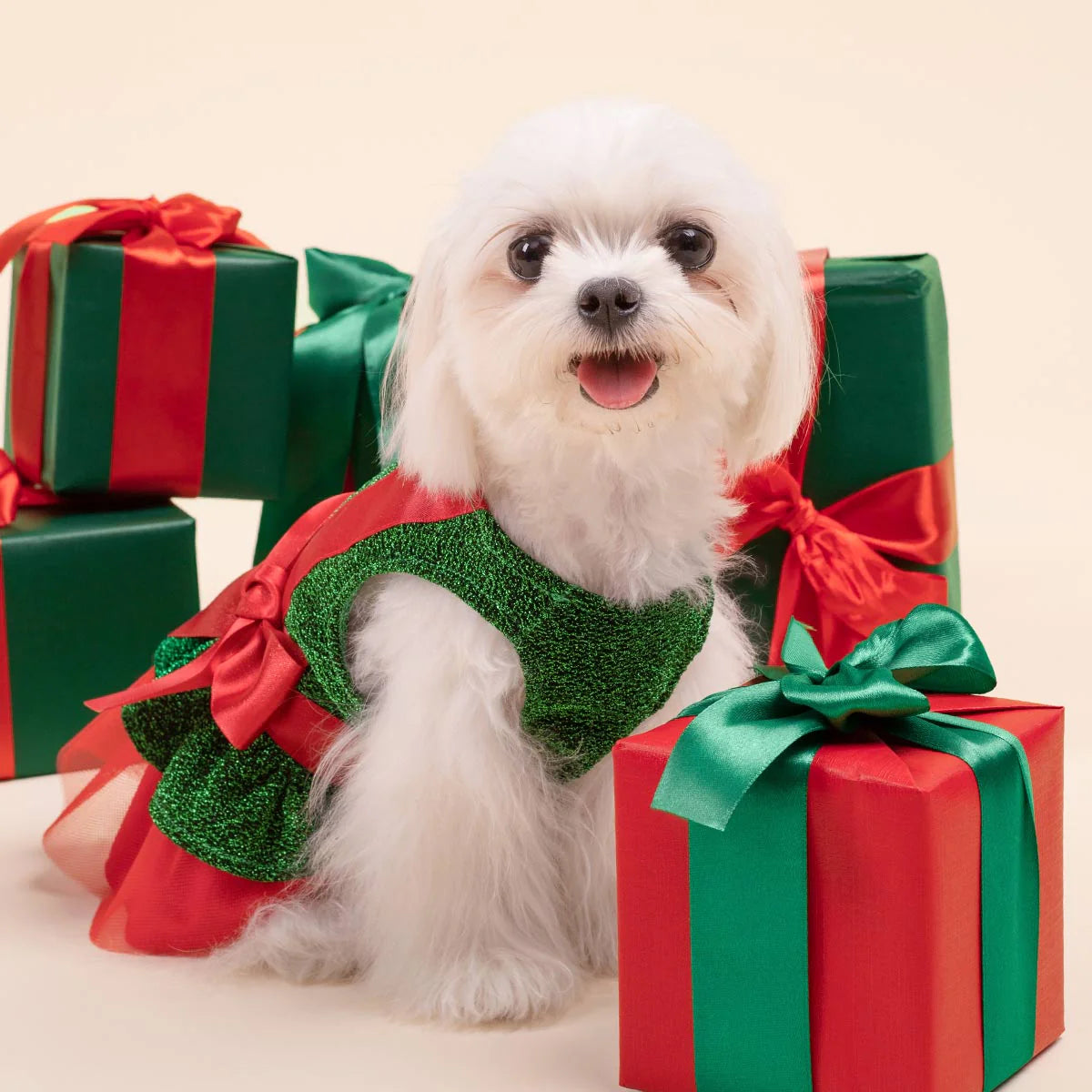 Funny Christmas Gift Dog Dress