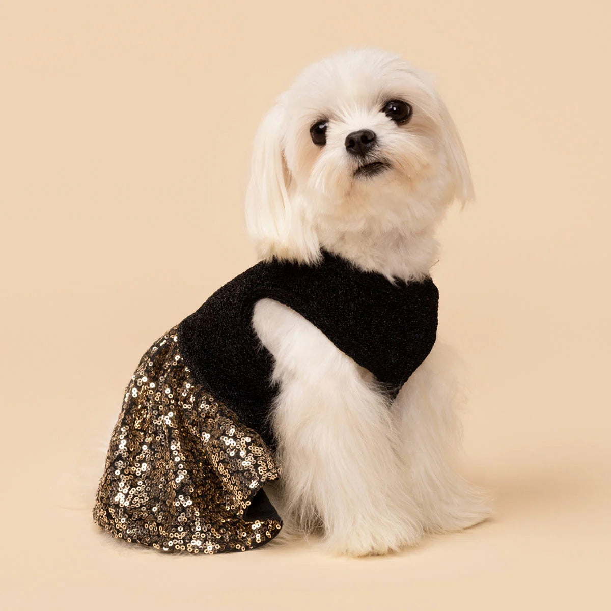 Sparkly Sequin Dress
