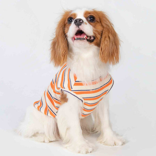 Waffle Striped Dog Shirt naranja