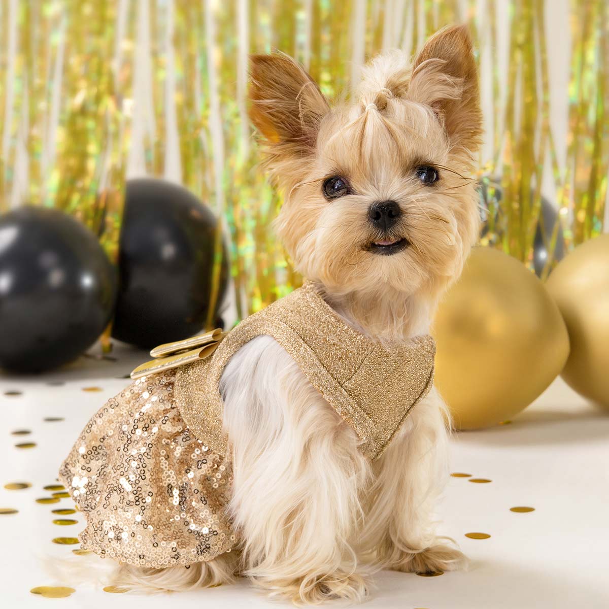 Sparkly Sequin Gold Fancy Dress