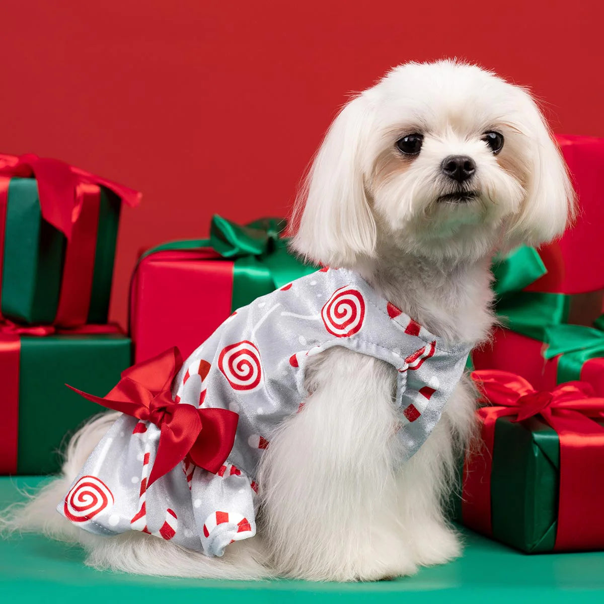 Christmas Candy Dog Dress
