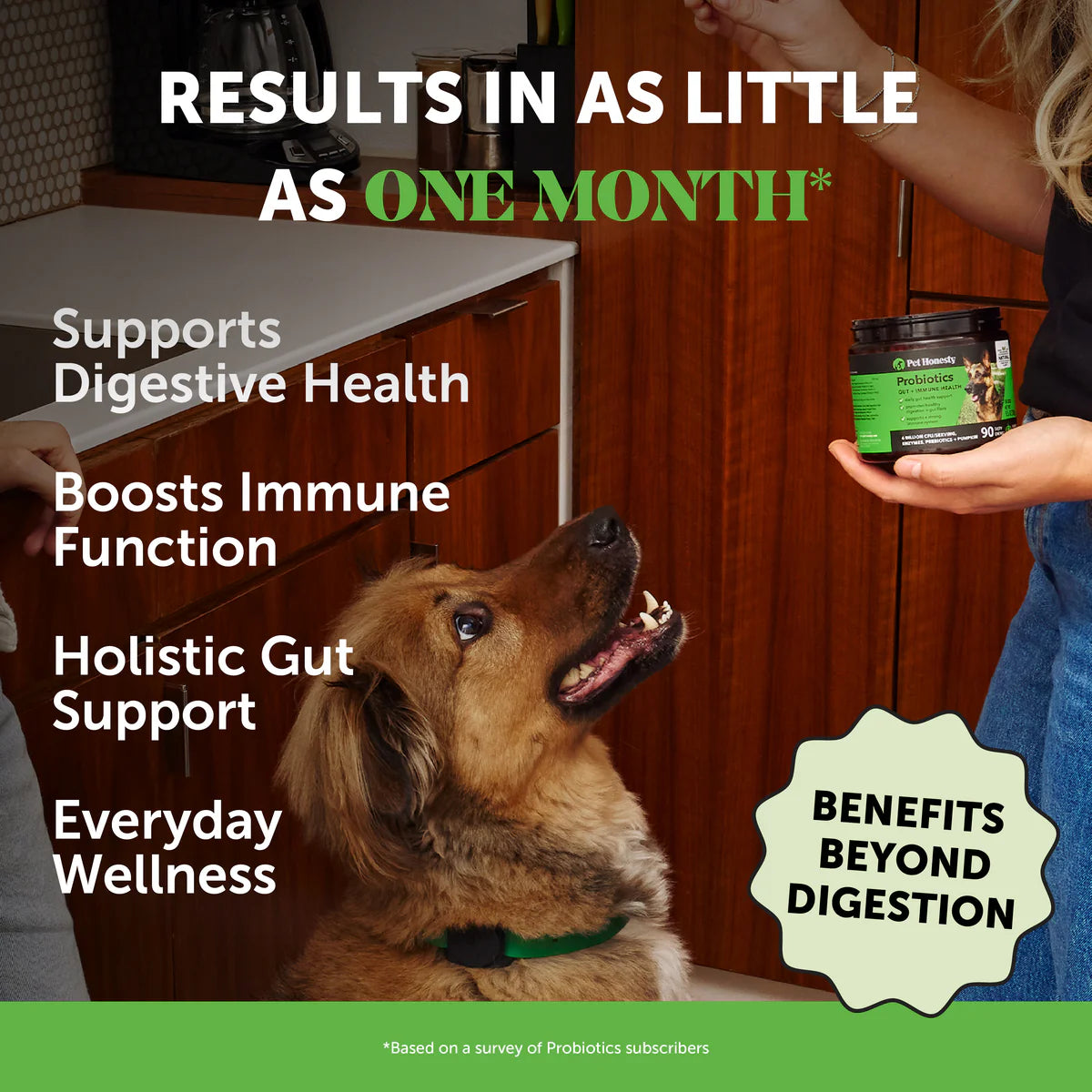 Probiotics Gut + Immune Health Pet Honesty - Sabor pato