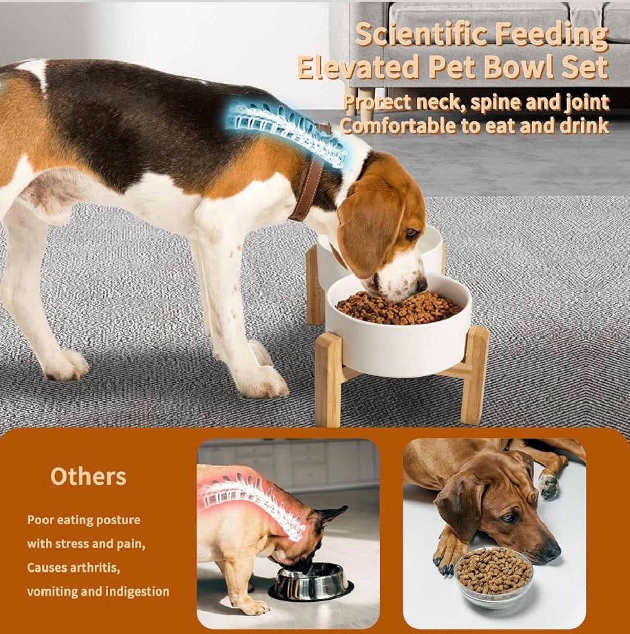 Elevated Ceramic Dog Bowl Set for Small and Medium Dogs - 28.74 OZ - 3.6 CUPS - 850 ML