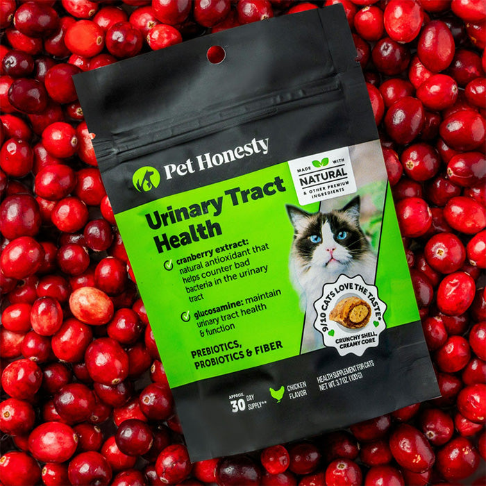 Pet honesty - Masticables crujientes y cremosos para la salud del tracto urinario para gatos