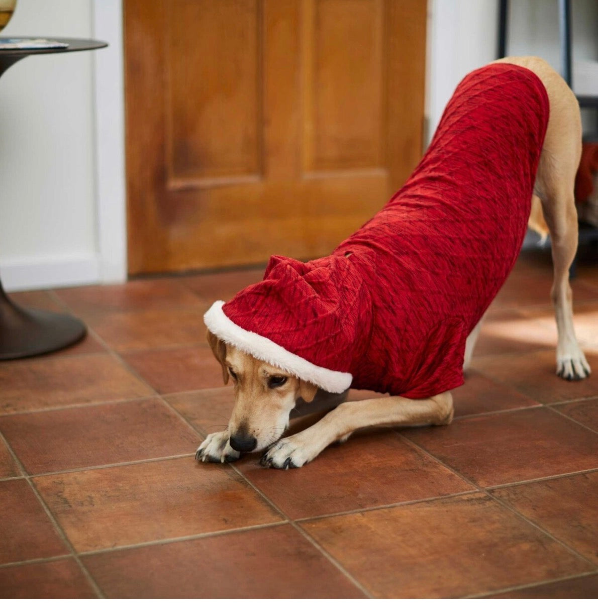 Textured Knit Dog & Cat Hoodie, Heather Red