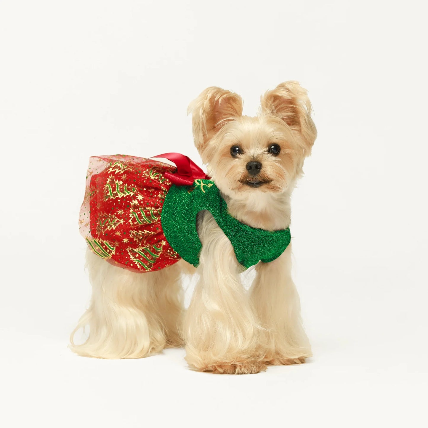 Furry and Bright Christmas Dog Dress