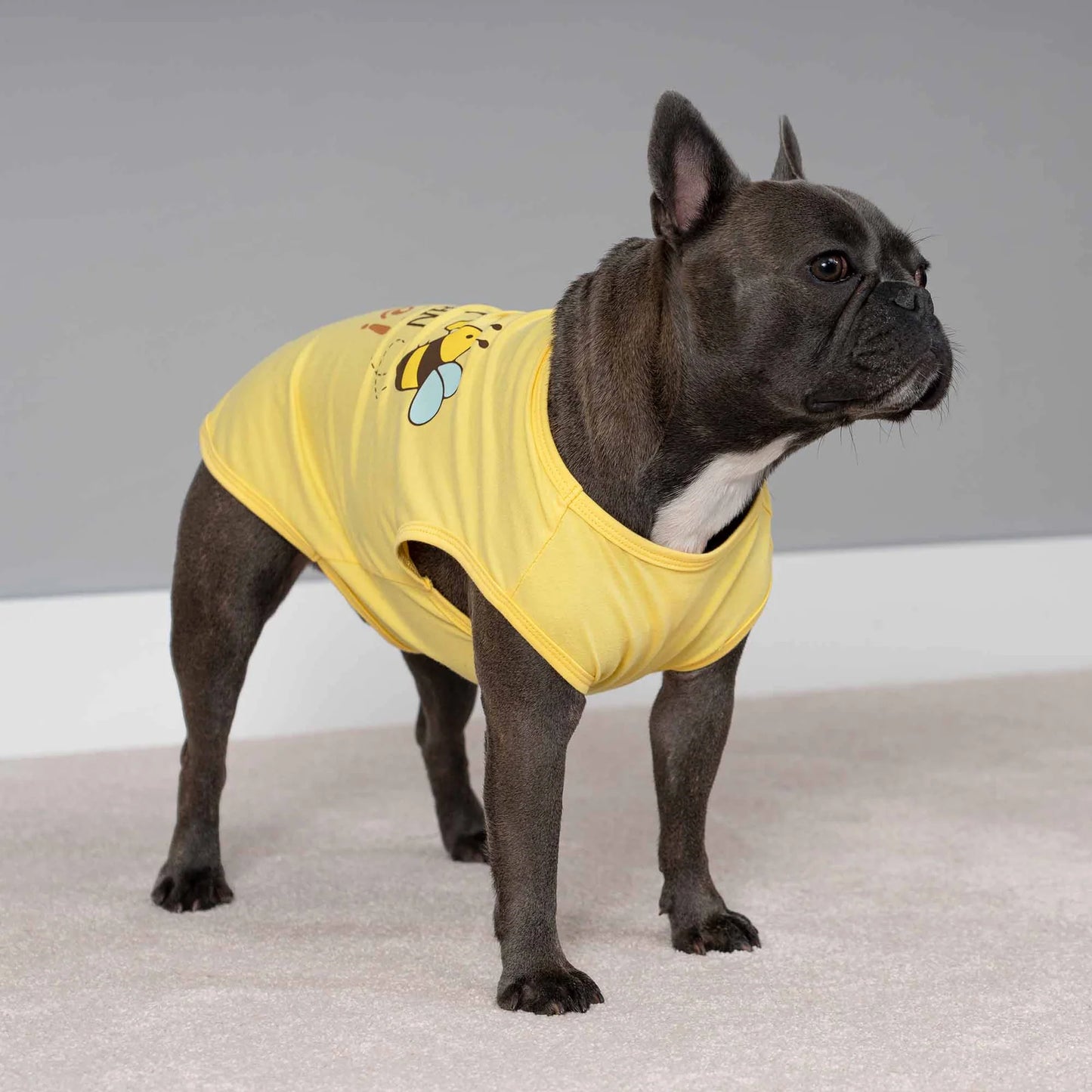 Bee the Best You Can Bee Funny Dog Shirt
