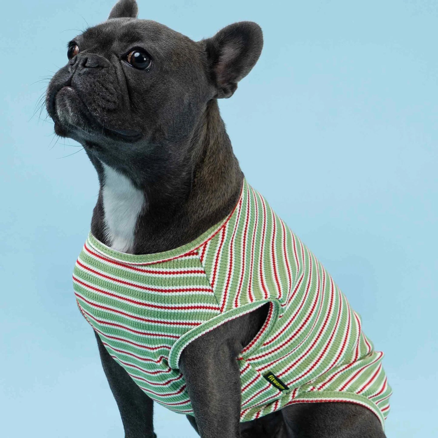 Waffle Striped Dog Shirt verde