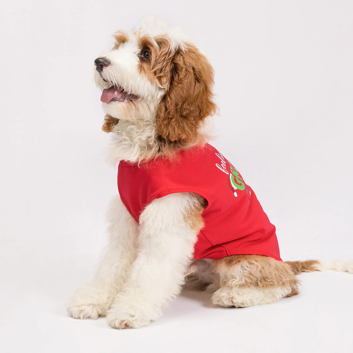 Feeling Extra Grumpy Today Dog Shirt