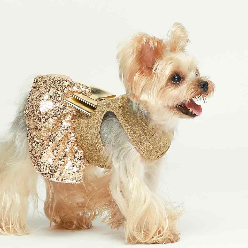 Sparkly Sequin Gold Fancy Dress