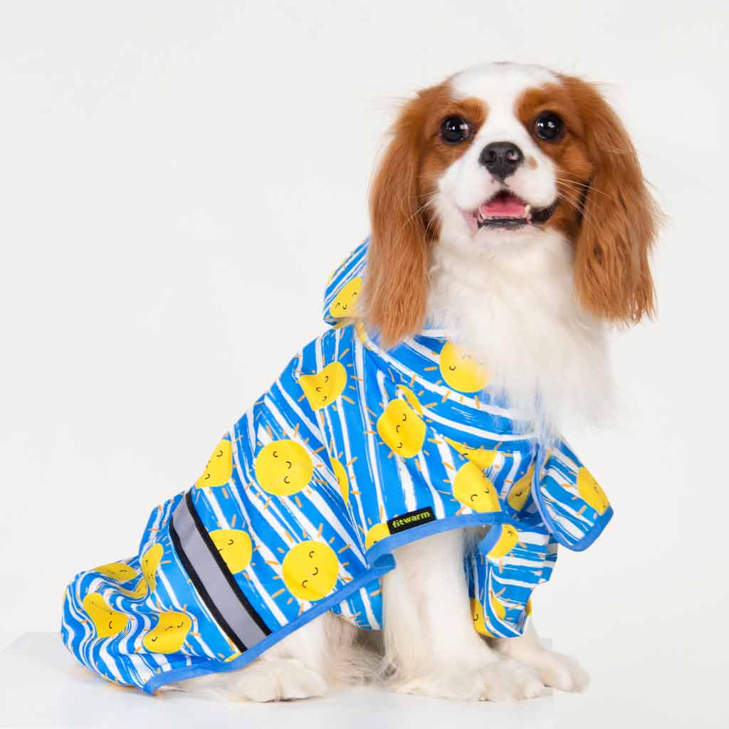 Sun Dog Raincoat