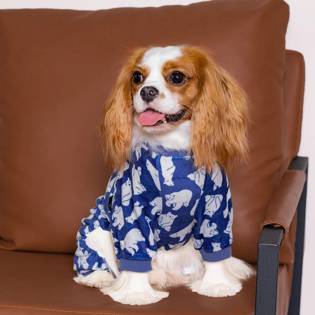 Oso Polar Pijamas