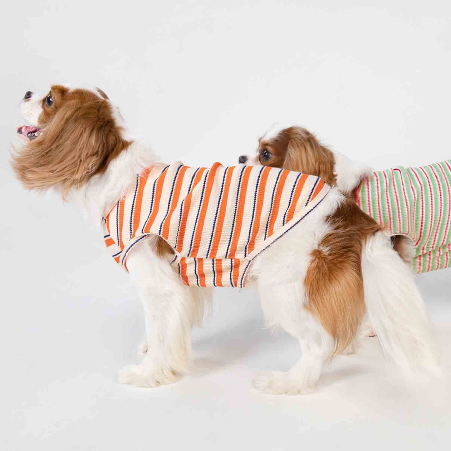 Waffle Striped Dog Shirt naranja
