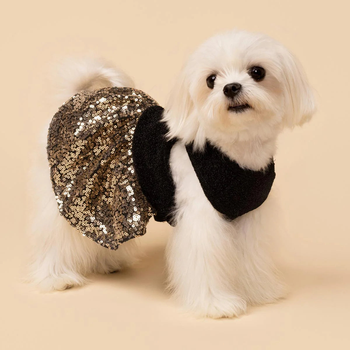 Sparkly Sequin Dress